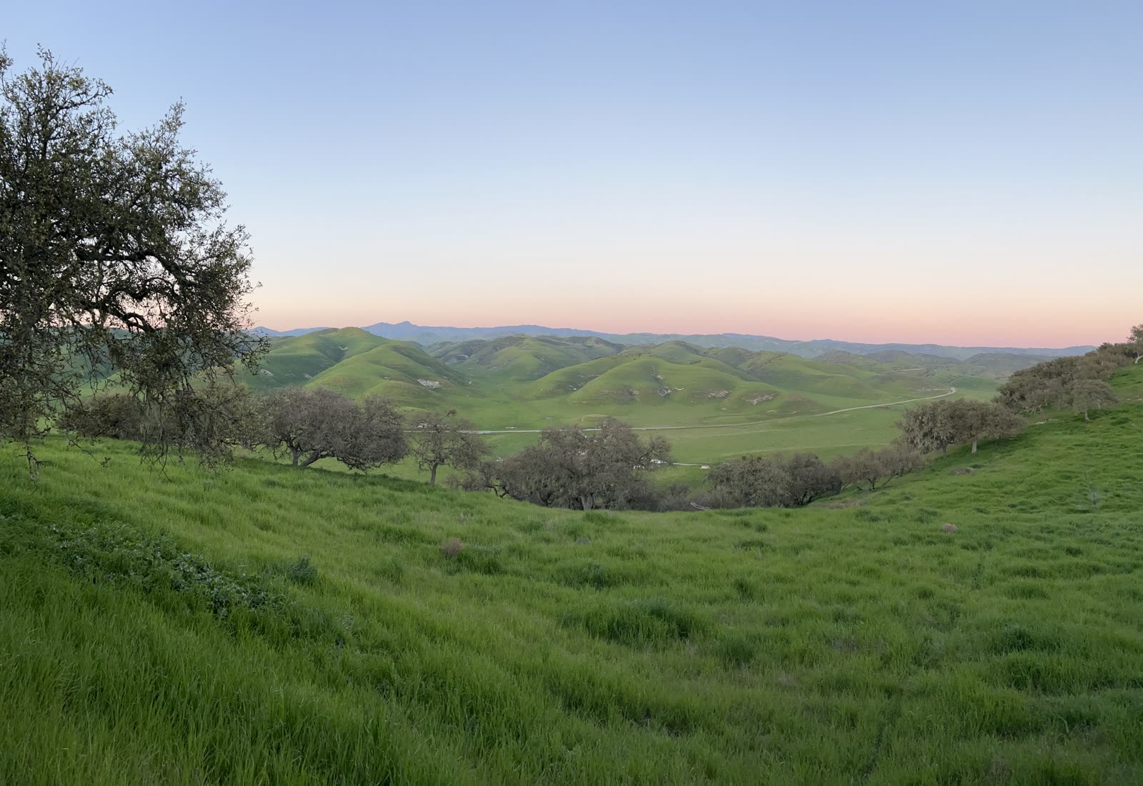 Spring pasture and distant mountain ridge at Madson Ranch